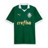 Maillot de Supporter Palmeiras Domicile 2024-25 Pour Homme